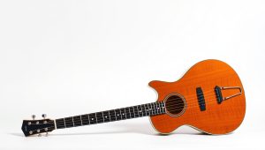 Best 12-String Guitar Left Handed 2026