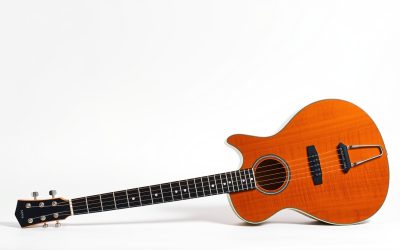 Best 12-String Guitar Left Handed 2026