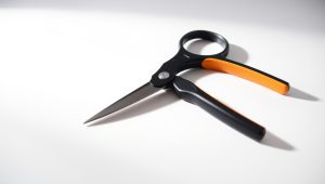 Best Fiskars Left-Handed Scissors 2026