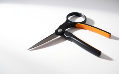 Best Fiskars Left-Handed Scissors 2026