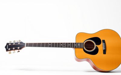 Best Left Handed 12 String Acoustic Guitar 2026