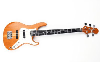 Best Left Handed 5 String Bass Guitar 2026
