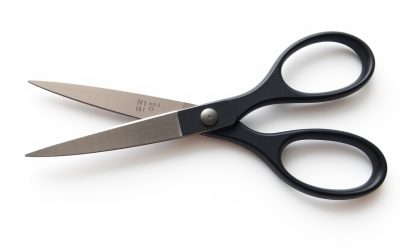 Best Left-Handed Scissors 2026