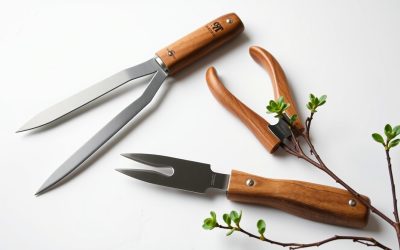 Best Left Handed Bonsai Tools