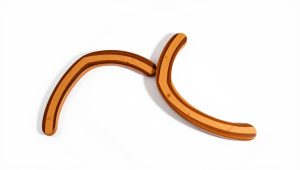 Best Left Handed Boomerangs: How to Choose & Throw