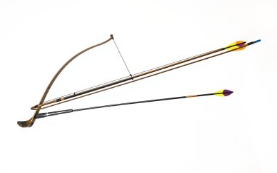 Best Left Handed Bow and Arrow Sets for Southpaw Archers