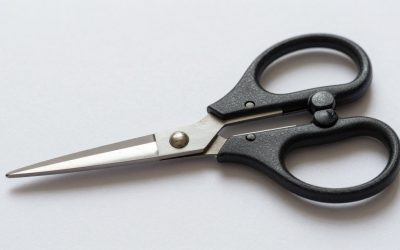 Best Left Handed Embroidery Scissors for Small Hands in 2026: Compared and Ranked