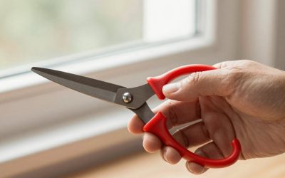How to Choose Left Handed Kitchen Shears in 2026: What Actually Matters