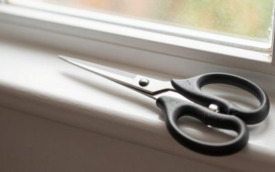 What to Look for Left Handed Scissors in 2026: What Actually Matters